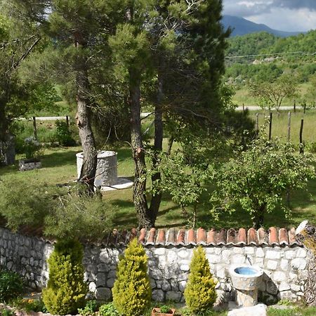 B&B Nel Verde Montesano sulla Marcellana 외부 사진