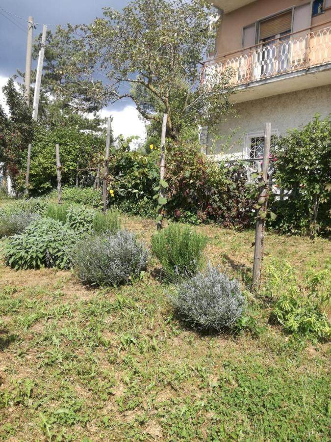 B&B Nel Verde Montesano sulla Marcellana 외부 사진
