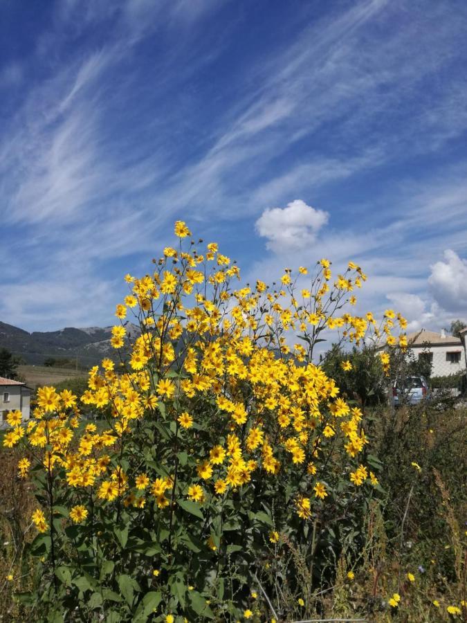 B&B Nel Verde Montesano sulla Marcellana 외부 사진