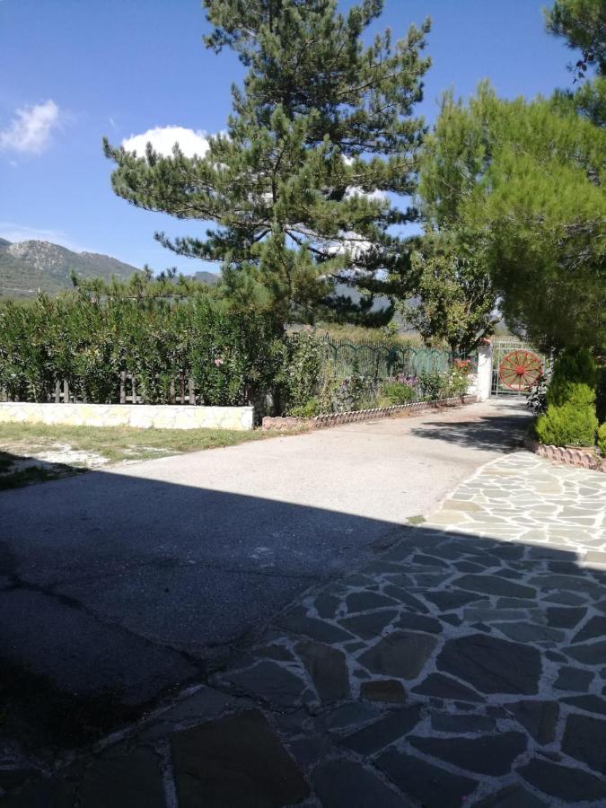 B&B Nel Verde Montesano sulla Marcellana 외부 사진