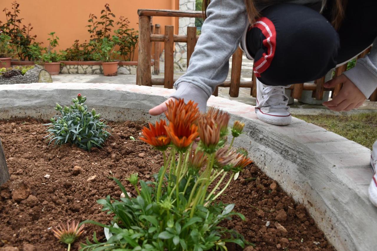 B&B Nel Verde Montesano sulla Marcellana 외부 사진