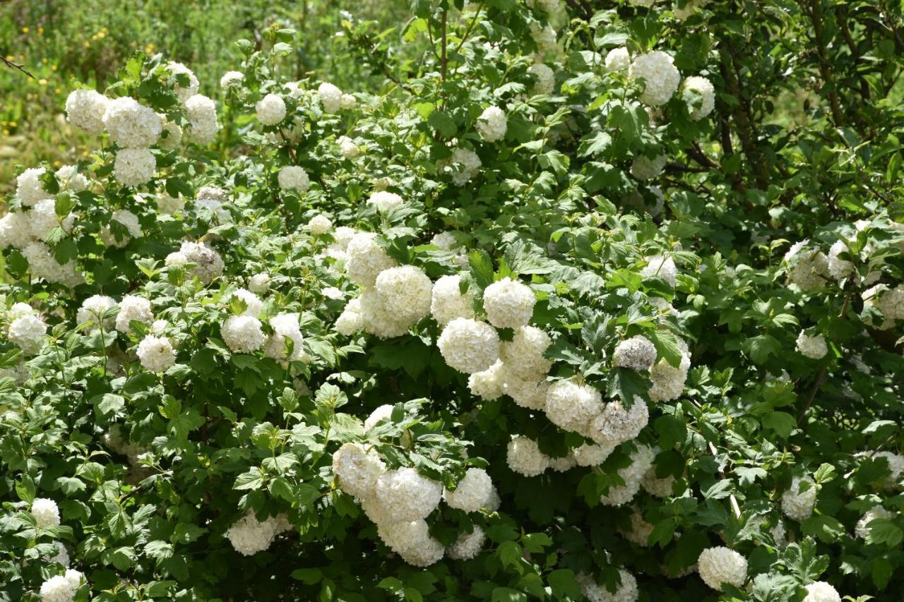B&B Nel Verde Montesano sulla Marcellana 외부 사진