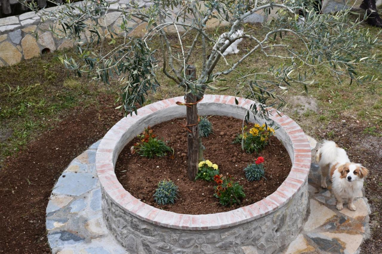 B&B Nel Verde Montesano sulla Marcellana 외부 사진